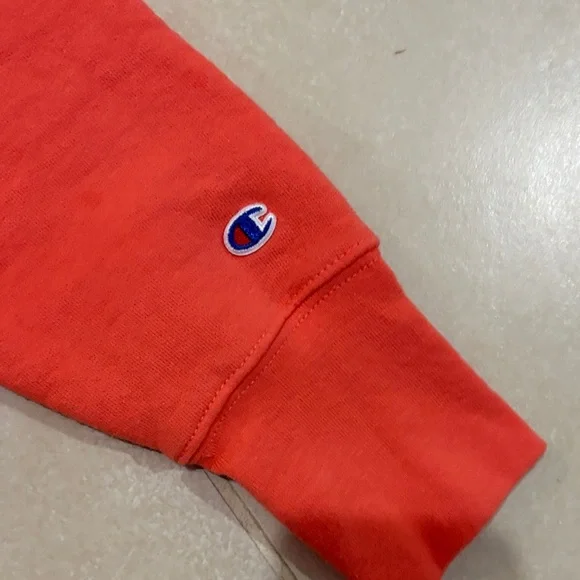 Champion Authentic Athleticwear Coral Pullover Hoodie Small gorpcore Athleisure - Picture 3 of 4